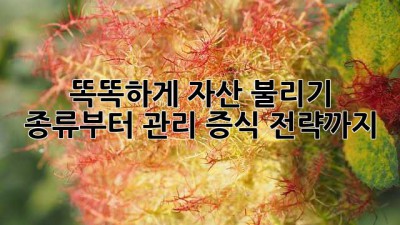 똑똑하게 자산 불리기 💰 종류부터 관리, 증식 전략까지!